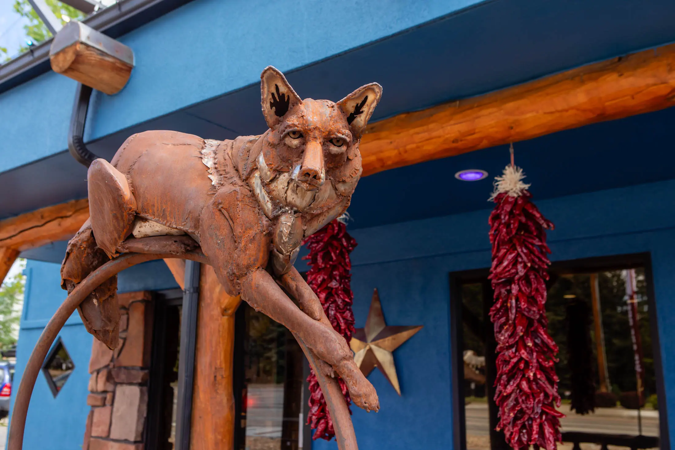 Metal coyote sculpture outside blue building