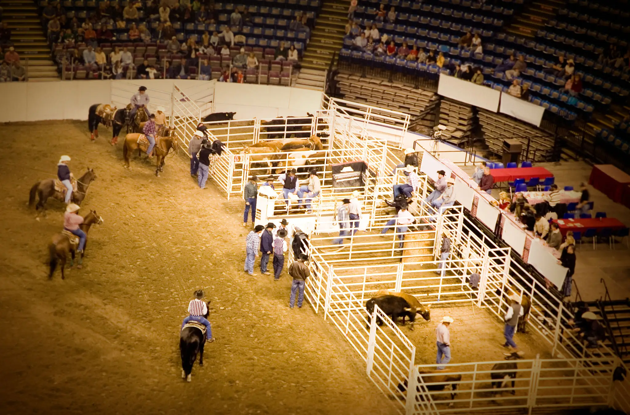 Cowboys preparing for rodeo competition