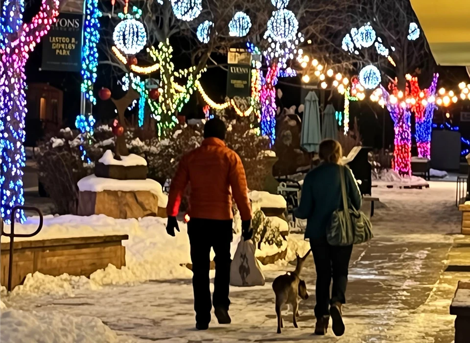 Two people walking dog in snowy holiday lights