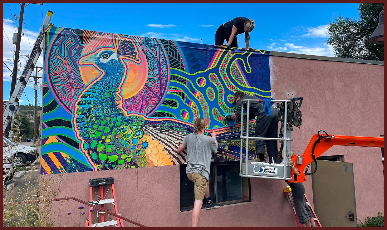 Workers installing vibrant peacock mural on building